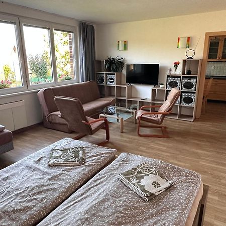 Apartmany U Rybnika Чески-Крумлов Экстерьер фото